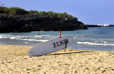 Manuel de survie du Surfeur en Voyage - 