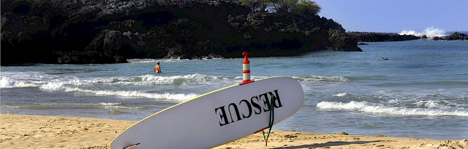 Manuel de survie du Surfeur en Voyage 