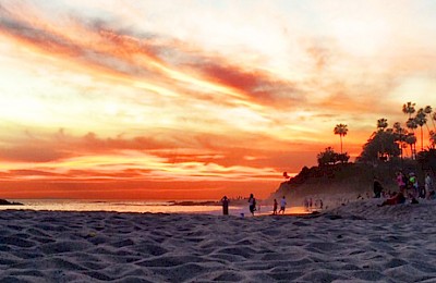 Deux frères en Trip Surf en Californie - 